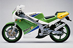 Kawasaki KR250 (KR-1 and KR1s models)